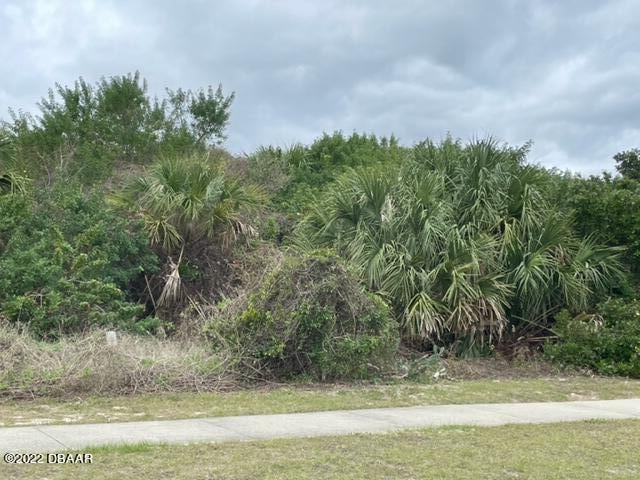 4572 S Peninsula Dr, Ponce Inlet FL, 32127 land for sale