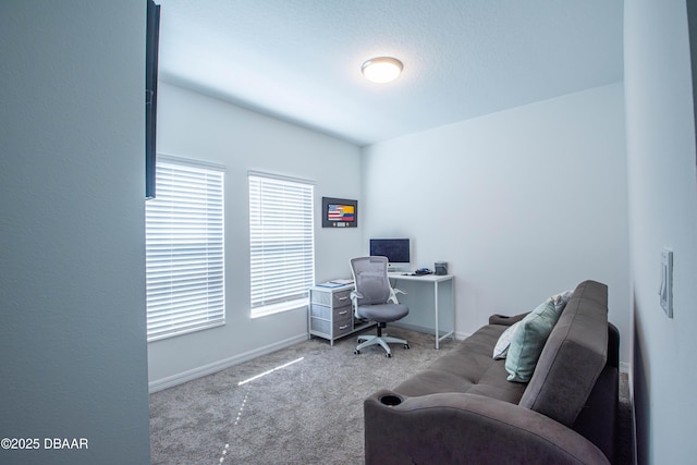 3963 Willowbrook Dr, Edgewater, FL 32141 - office space featuring carpet flooring and baseboards
