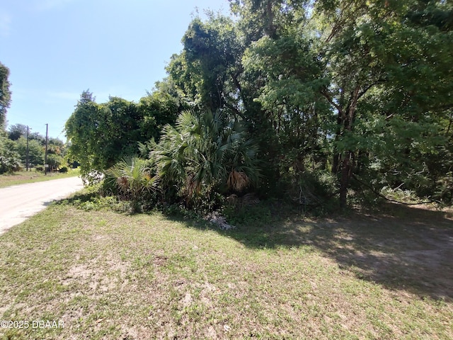 101 Hudson Dr, Satsuma, FL 32189