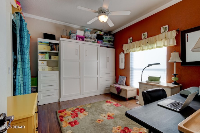 3102 N Springwater Ct N, Port Orange, FL 32128 - office space featuring hardwood / wood-style flooring, ornamental molding, and ceiling fan