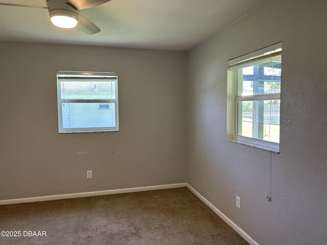 2416 Kumquat Dr, Edgewater, FL 32141 - photo 11