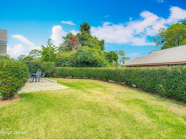 907 Silverleaf Pl, Port Orange, FL 32127 - view of yard featuring a patio area
