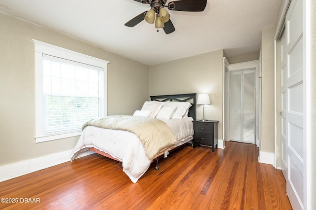 bedroom featuring two closets, ceiling fan, and dark hardwood / wood-style floors