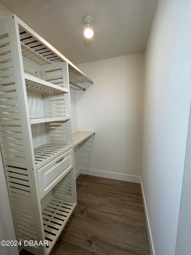 1824 Sabal Palm Dr, Edgewater, FL 32132 - spacious closet featuring dark wood-style flooring