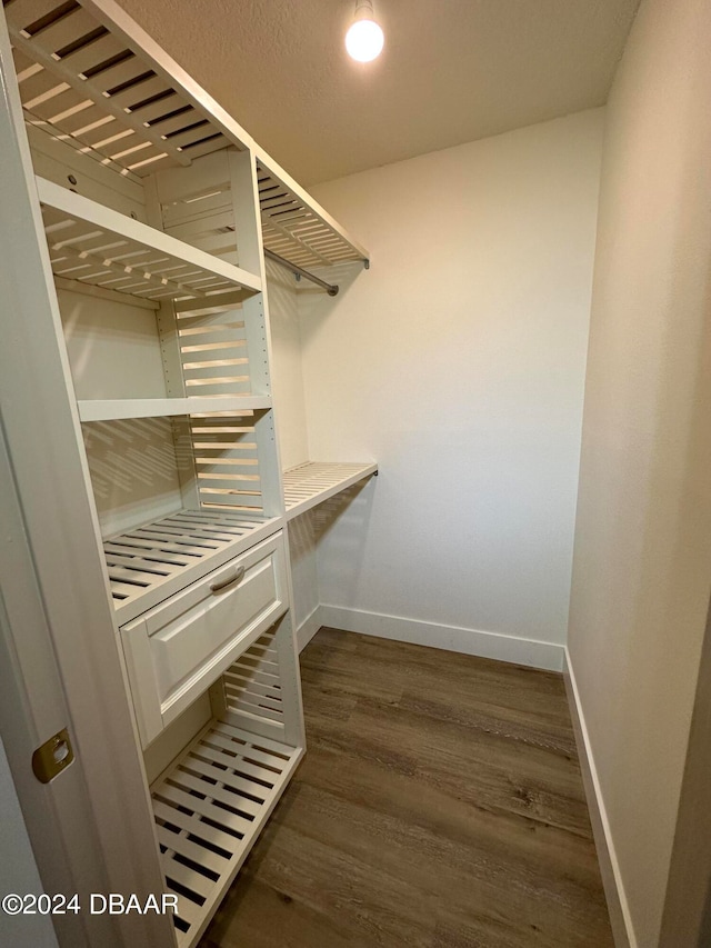 walk in closet featuring dark hardwood / wood-style floors