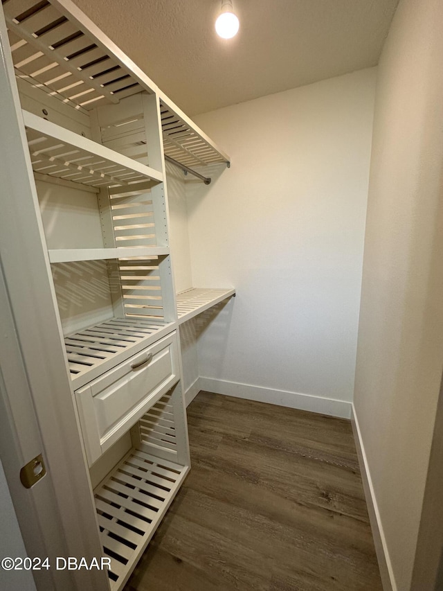 1824 Sabal Palm Dr, Edgewater, FL 32132 - spacious closet with dark wood-type flooring
