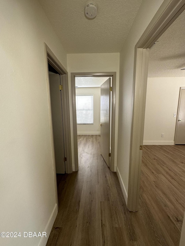 1824 Sabal Palm Dr, Edgewater, FL 32132 - hall featuring a textured ceiling, dark wood-style flooring, and baseboards