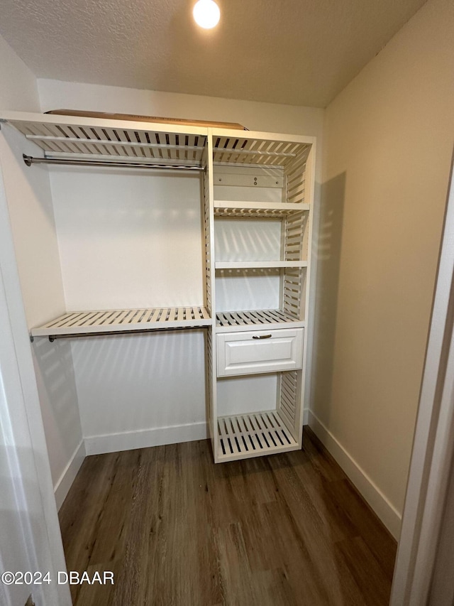 1824 Sabal Palm Dr, Edgewater, FL 32132 - spacious closet featuring dark wood finished floors