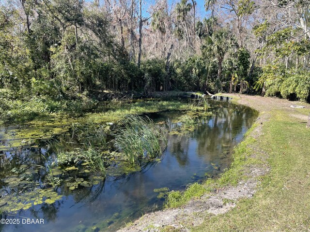 60 Bramblewood Ln, Ormond Beach, FL 32174 - water view