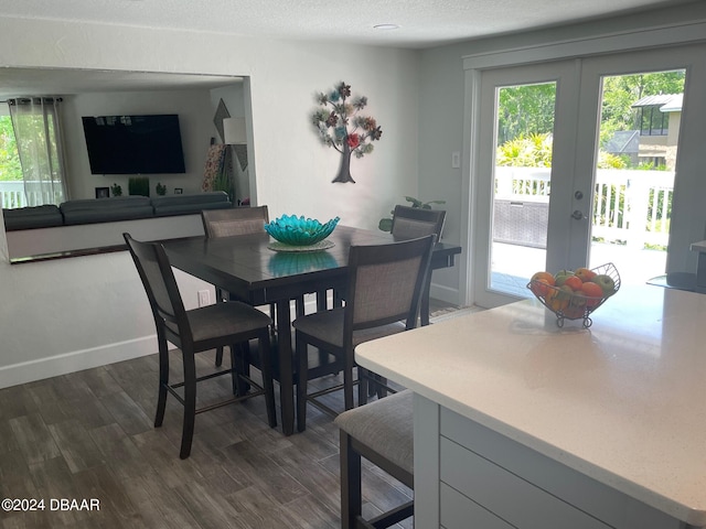 60 Bramblewood Ln, Ormond Beach, FL 32174 - dining room featuring plenty of natural light, dark wood-style floors, baseboards, french doors, and a textured ceiling