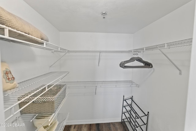 walk in closet featuring dark hardwood / wood-style floors