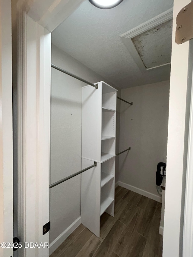 spacious closet with dark wood-style floors and attic access