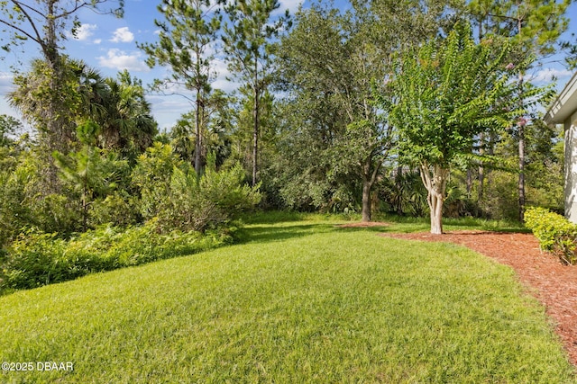 198 Mendoza Cir, Daytona Beach, FL 32124 - photo 38