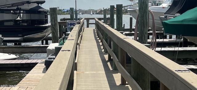 dock area with a water view