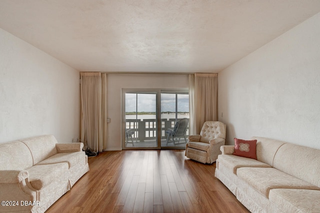 living room featuring wood-type flooring