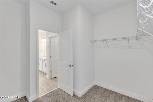 spacious closet featuring carpet flooring