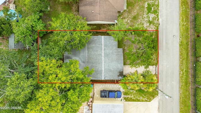 1408 Graham Ave, Holly Hill, FL 32117 - photo 4