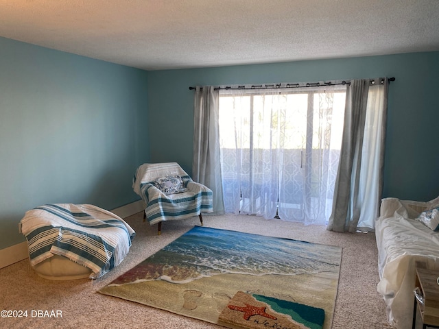 sitting room with a textured ceiling and carpet floors