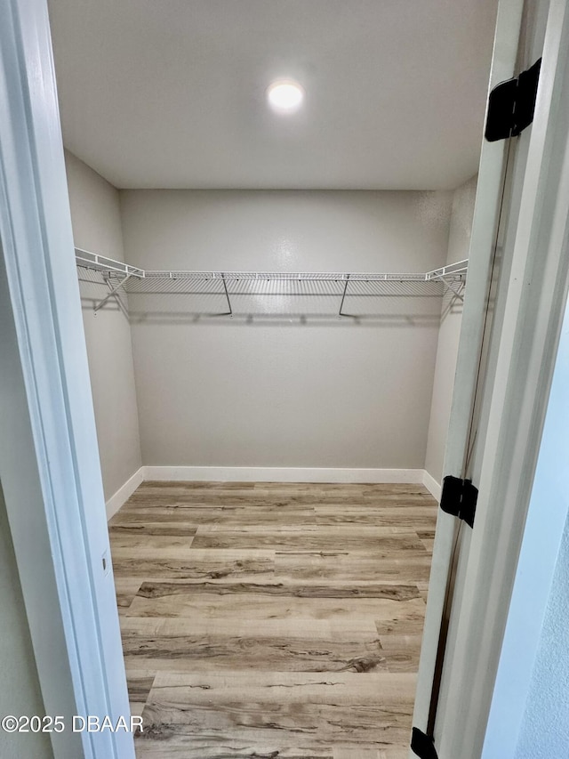 walk in closet with wood finished floors