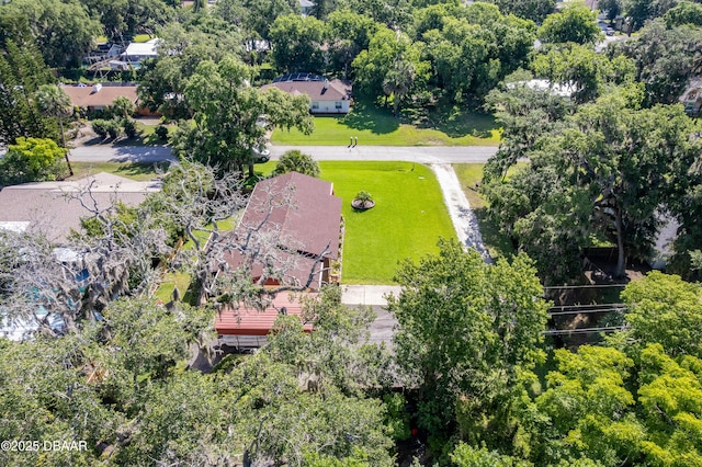 3048 Mango Tree Dr, Edgewater, FL 32141 - drone / aerial view of a tree filled landscape