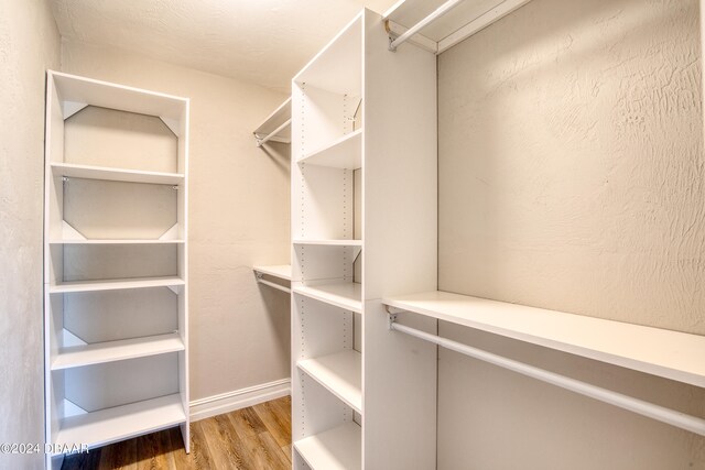 walk in closet with wood-type flooring