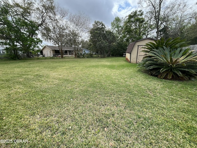 view of yard featuring an outbuilding and a storage unit