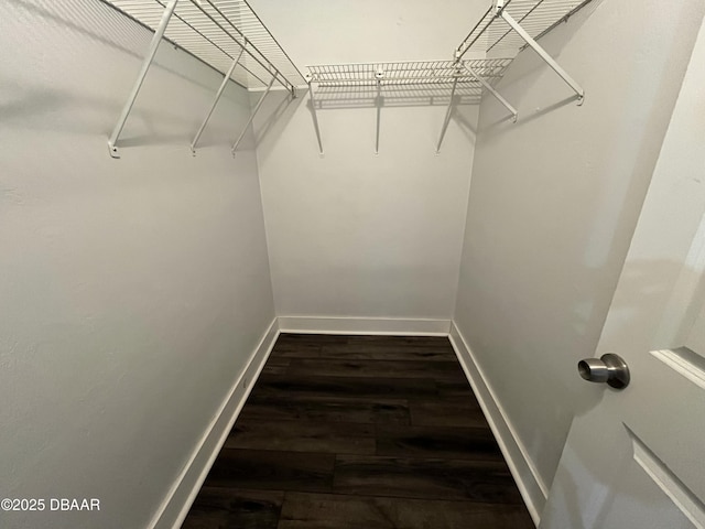 spacious closet with wood finished floors