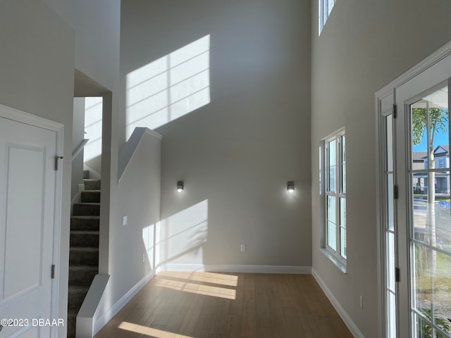 interior space featuring a high ceiling and wood-type flooring