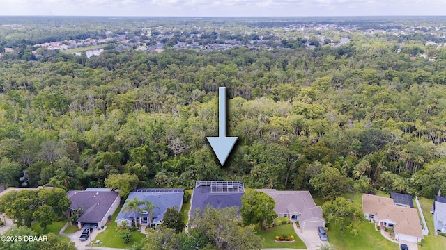 6065 Spruce Point Cir, Port Orange, FL 32128 - aerial view of residential area with a forest