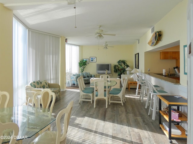 dining area with ceiling fan, floor to ceiling windows, and dark hardwood / wood-style flooring