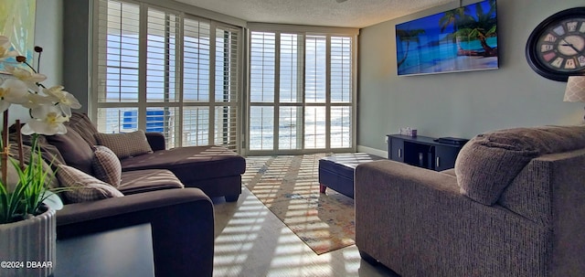 living room featuring a textured ceiling