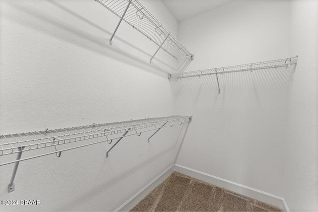 walk in closet with carpet