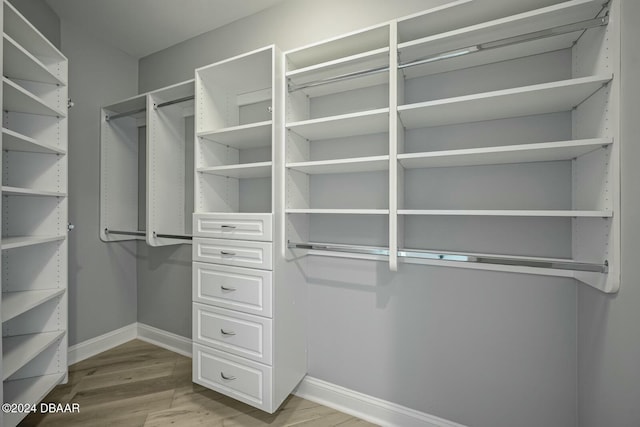 spacious closet featuring light hardwood / wood-style flooring