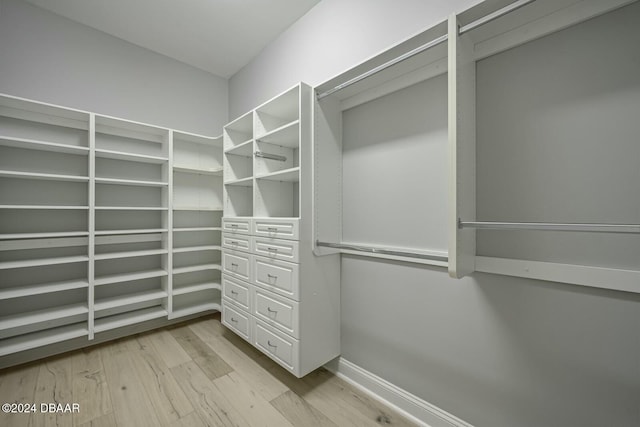 spacious closet featuring light hardwood / wood-style flooring