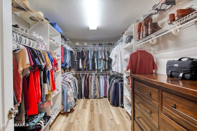 spacious closet featuring light hardwood / wood-style floors