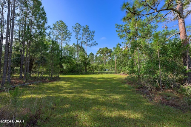 view of yard with a wooded view