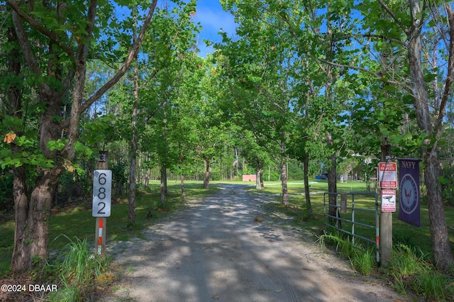 view of road featuring dirt driveway