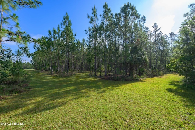 view of yard with a forest view