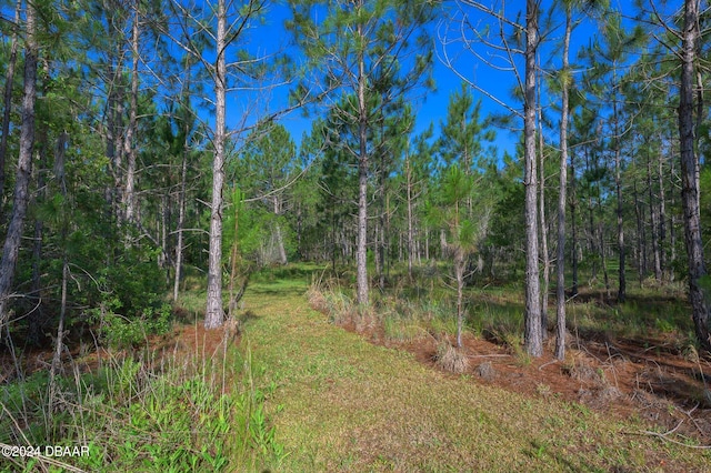 view of landscape with a wooded view