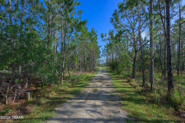 view of road with a wooded view