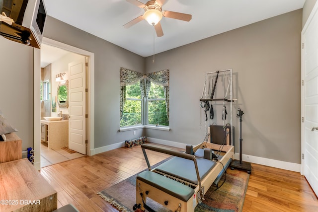 3 Ashford Lakes Dr, Ormond Beach, FL 32174 - exercise room with wood finished floors, ceiling fan, and baseboards