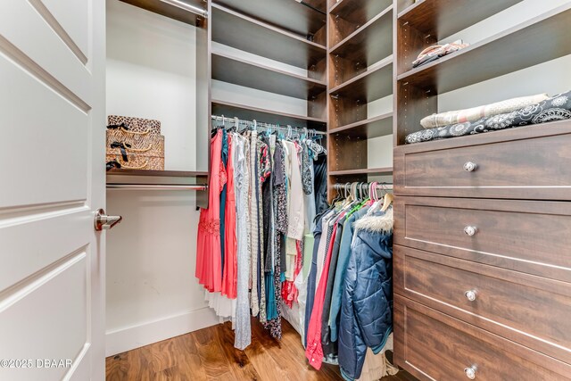 3 Ashford Lakes Dr, Ormond Beach, FL 32174 - spacious closet with wood finished floors