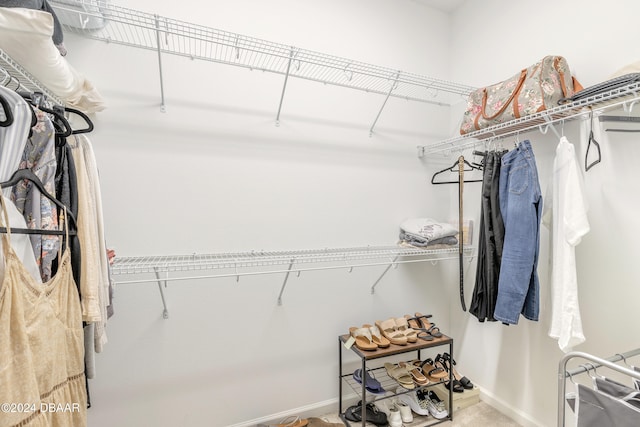 view of spacious closet