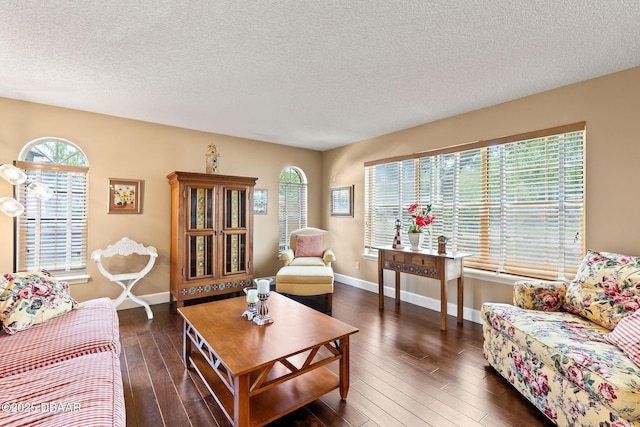 6 Leisure Wood Way, Ormond Beach, FL 32174 - living room with baseboards, wood finished floors, and a textured ceiling