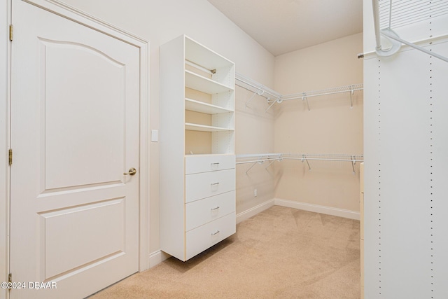 spacious closet with light carpet