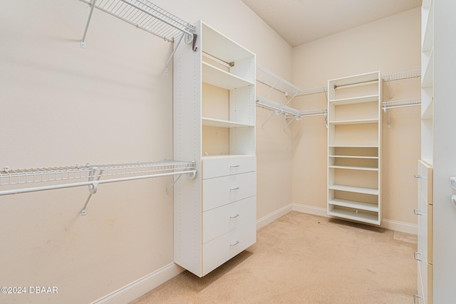 spacious closet with light carpet