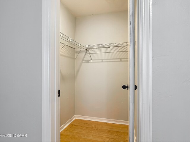 1104 Monticello Ln Unit 4, Port Orange, FL 32129 - walk in closet with light wood-style floors