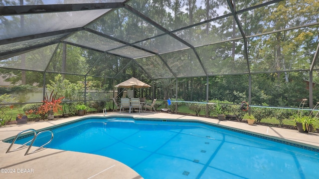 view of swimming pool with a lanai and a patio