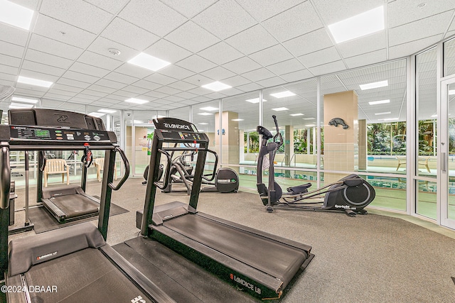 gym featuring a paneled ceiling and carpet flooring