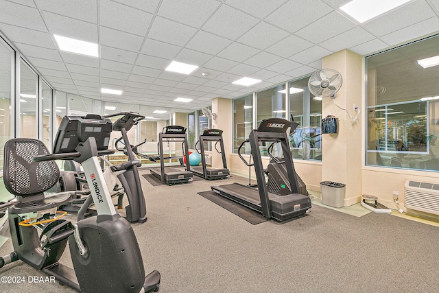 gym with a drop ceiling and carpet